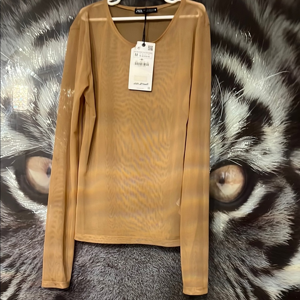 Zara Sheer Beige Long Sleeve Blouse
